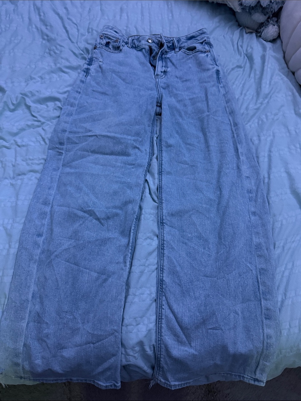 American Eagle Outfitters Light Wash Wide Leg Jeans